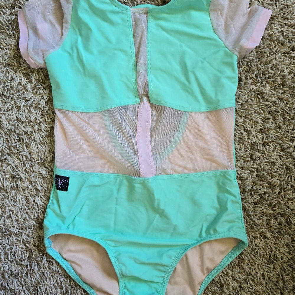 Mint Green and Pink Leotard